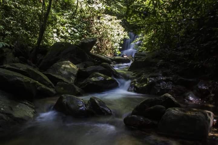 Eco Trekking Lodge, Bar & Jungle Tour'S Bukit Lawang Exteriör bild