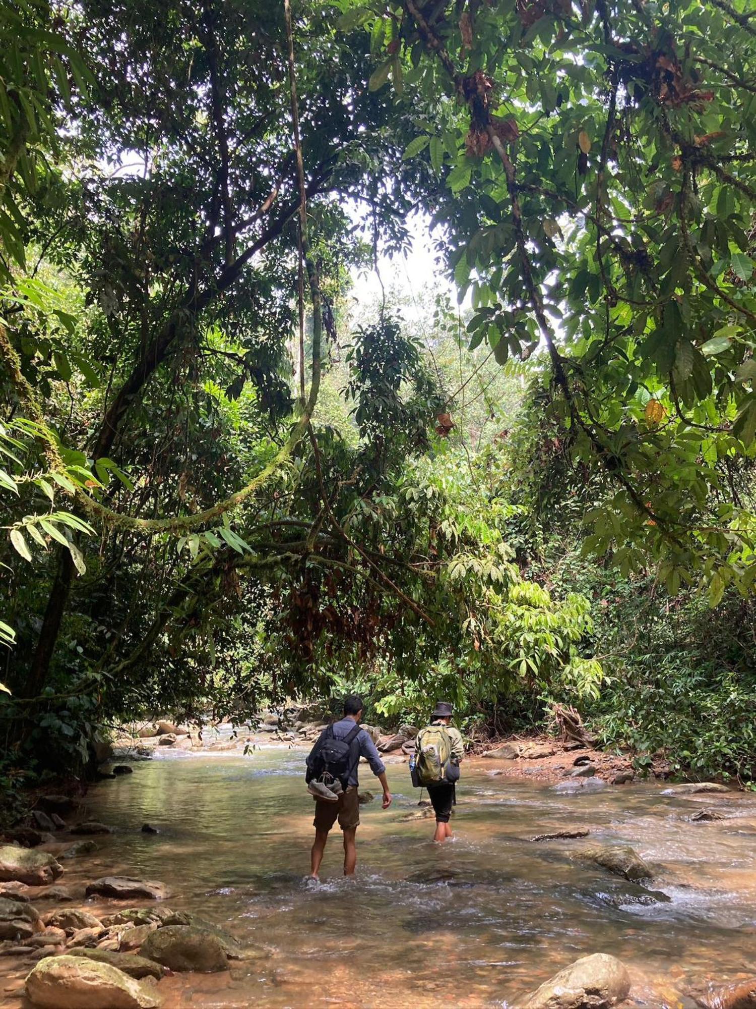 Eco Trekking Lodge, Bar & Jungle Tour'S Bukit Lawang Exteriör bild