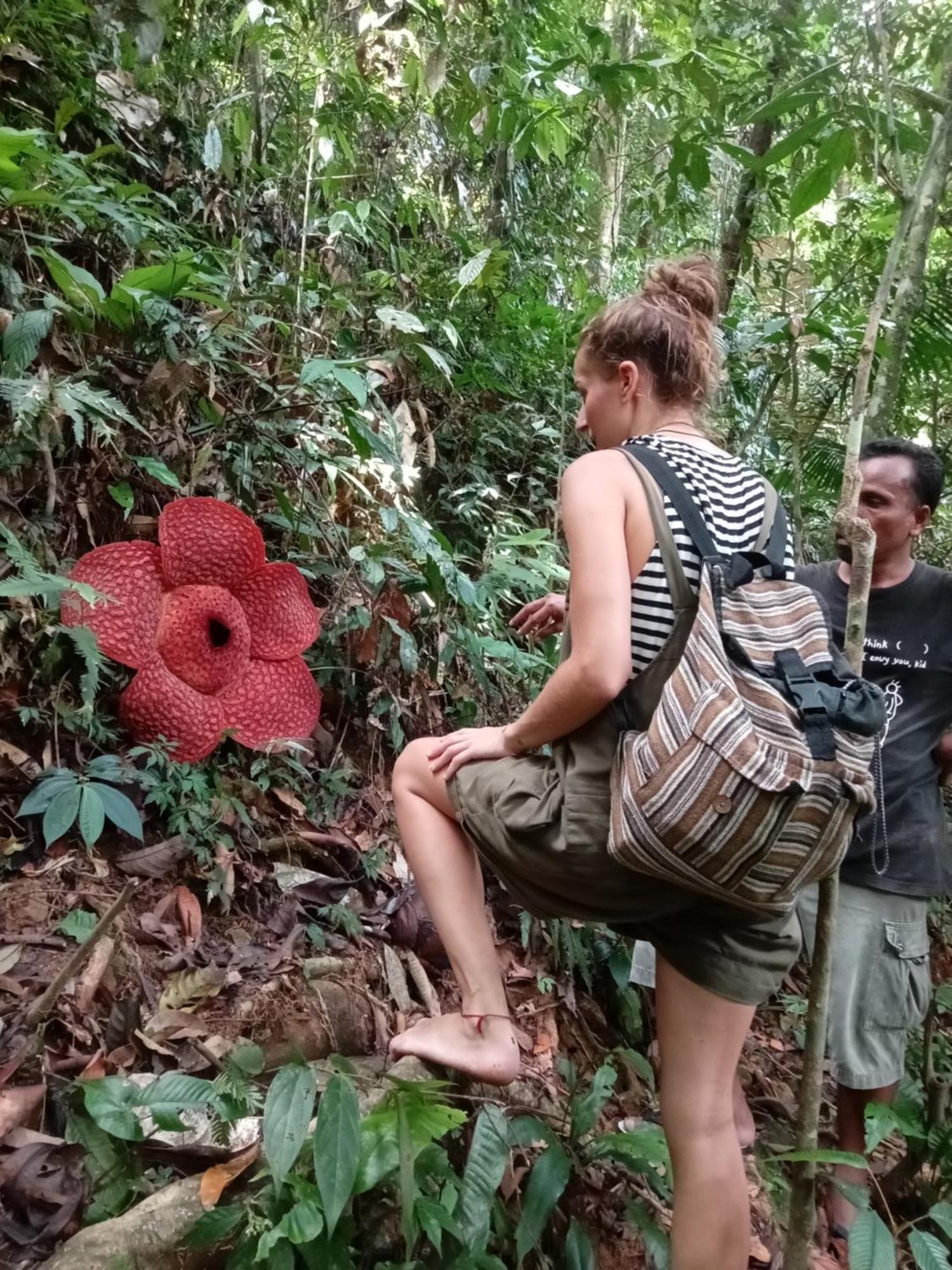 Eco Trekking Lodge, Bar & Jungle Tour'S Bukit Lawang Exteriör bild