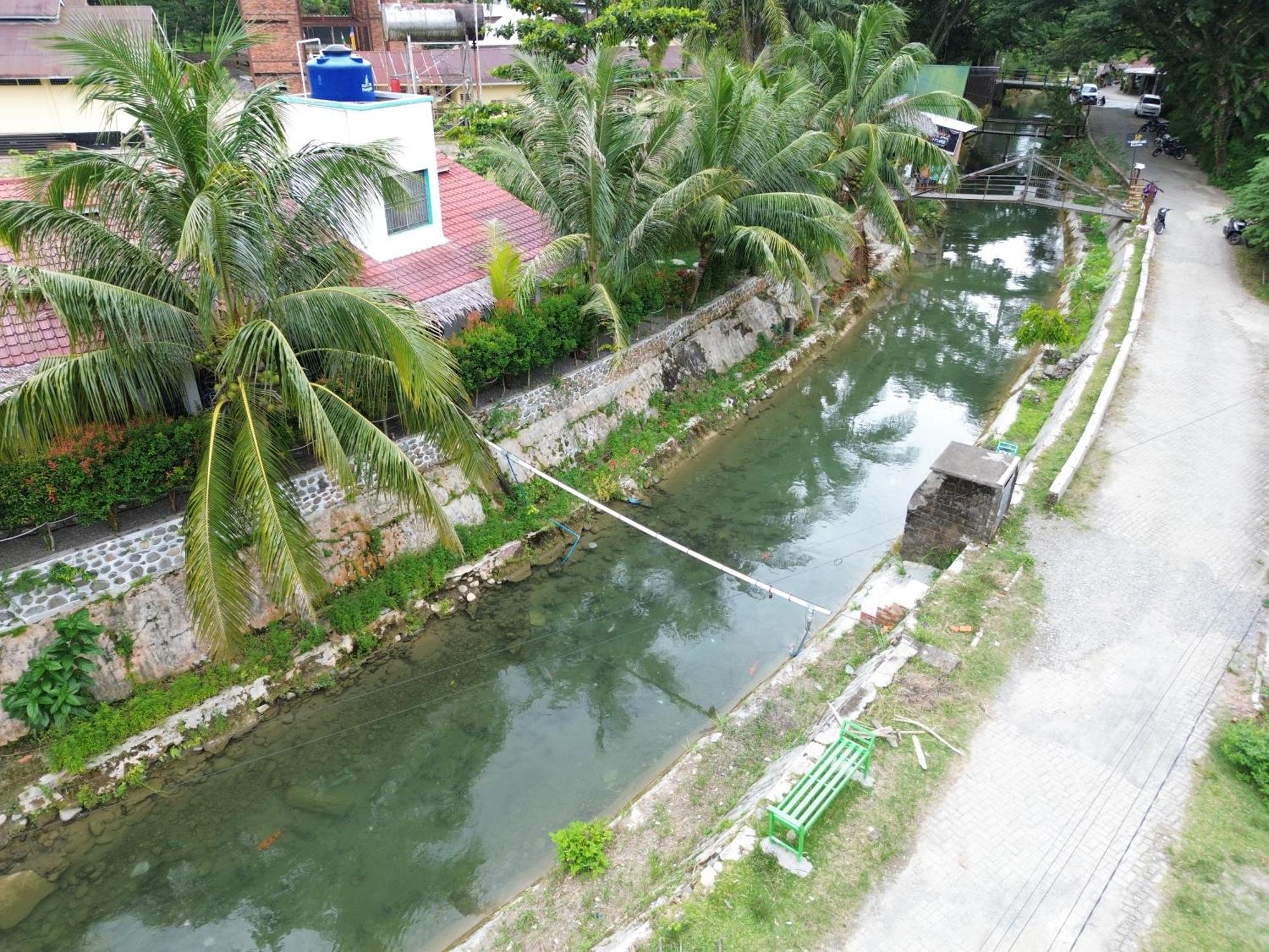 Eco Trekking Lodge, Bar & Jungle Tour'S Bukit Lawang Rum bild